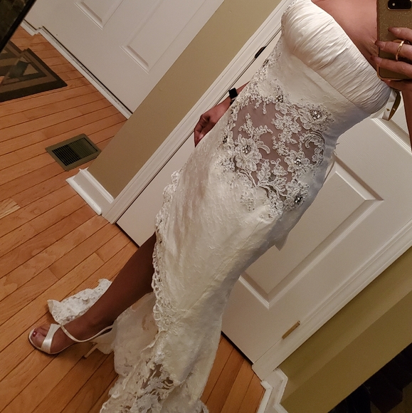 Avine Perucchi St Pucchi Wedding Gown - Picture 5 of 8